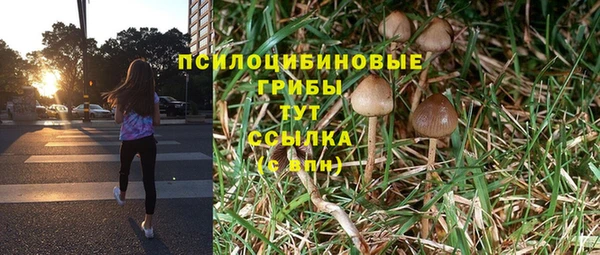 экстази Баксан